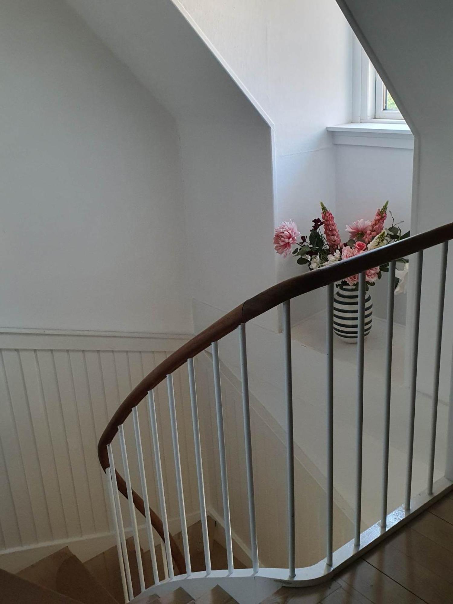 הילרוד Pegasus Bed & Breakfast מראה חיצוני תמונה